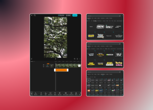 Text & Title Animation Capcut